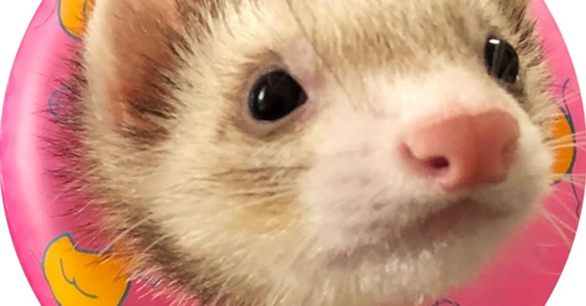 ナレッジワークのデザインについて