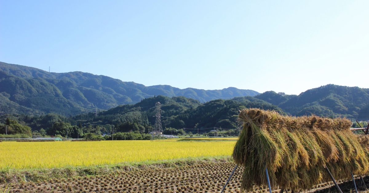 地域貢献をしたいと思っていた私が、組織コンサルに就職を決めた理由