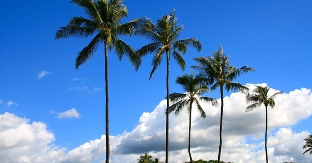 オフショア開発ついて、だらだらと語りたい人