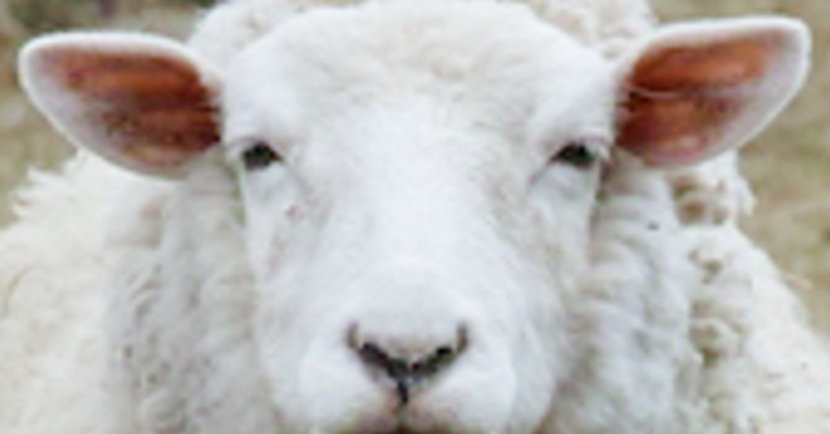 プログラミングスクール講師になってみませんか?