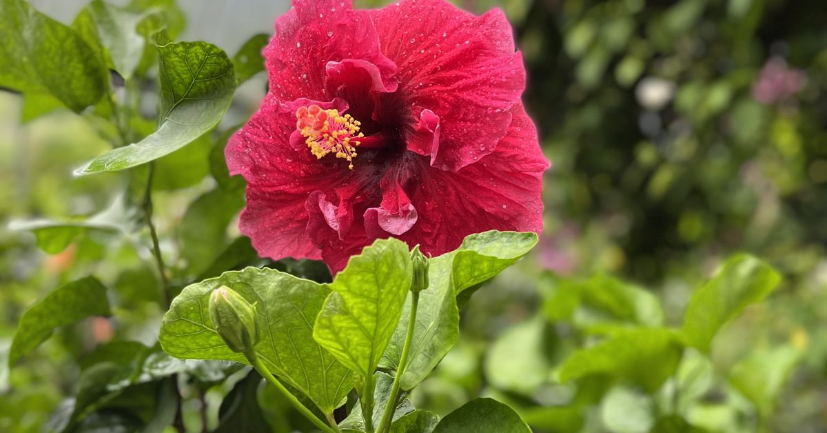 〇〇と仕事の両立についてお話しましょう。