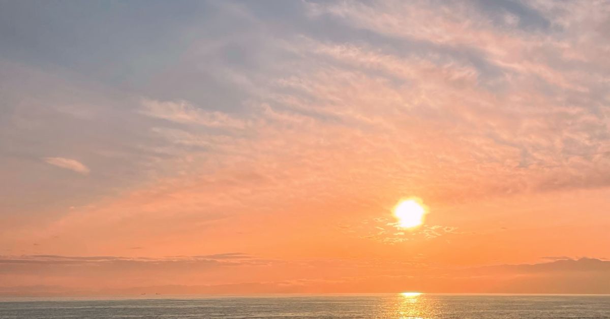 E-commerce ウェブサイトと業務用ウェブアプリの開発を体験した話