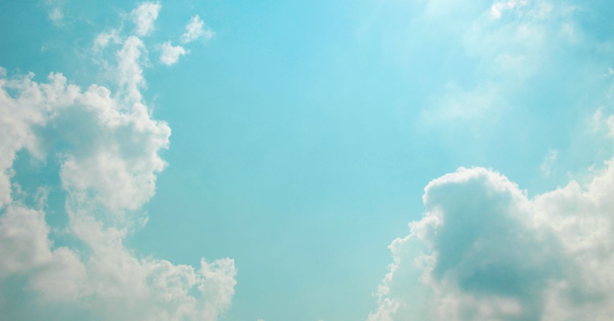 Paintnote代表とのカジュアル面談