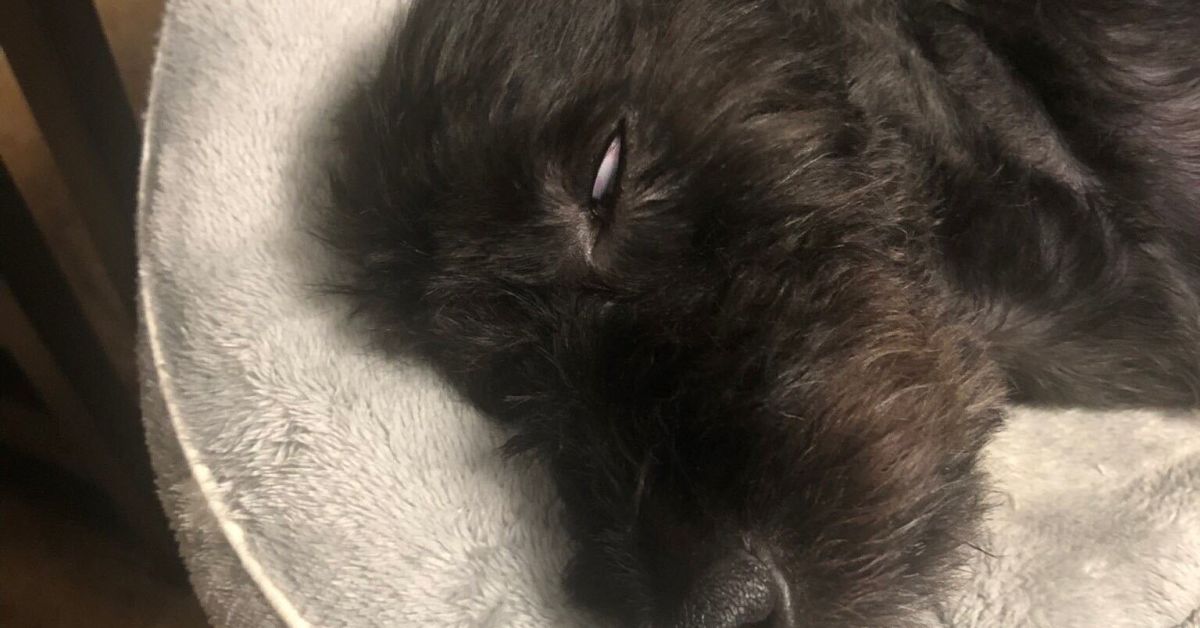 転職8回目のデザイナーが教育✕金融のスタートアップを選んだワケを話します