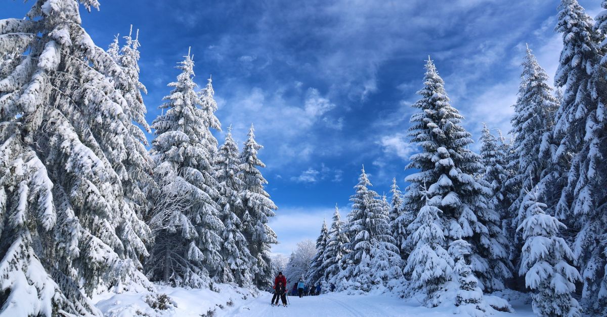 事業アイデア模索中。新規事業についてディスカッションしませんか？