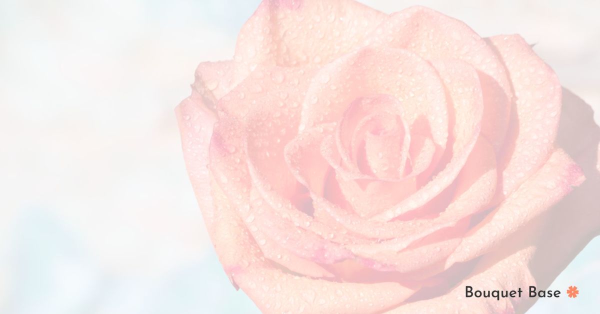 採用活動をされる中でのお悩みを聞かせてください