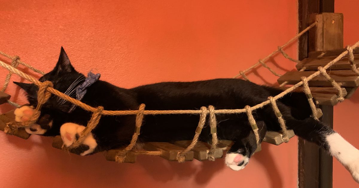 [日々のお仕事お疲れ様です] 心が疲れた時の聞き役になります