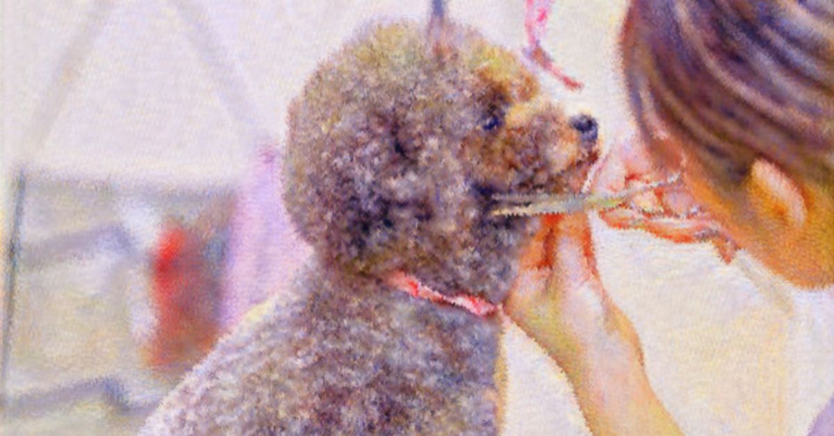 ペット業界の方と繋がりたいです！情報交換しませんか？