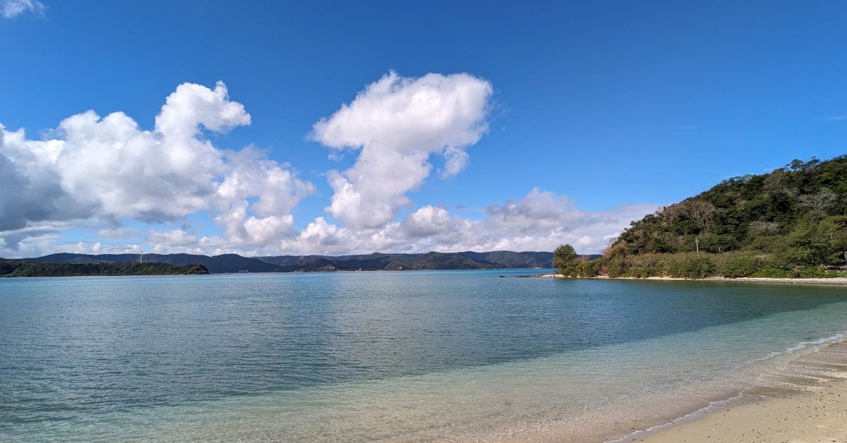 医療系スタートアップ企業の雰囲気、お話します！