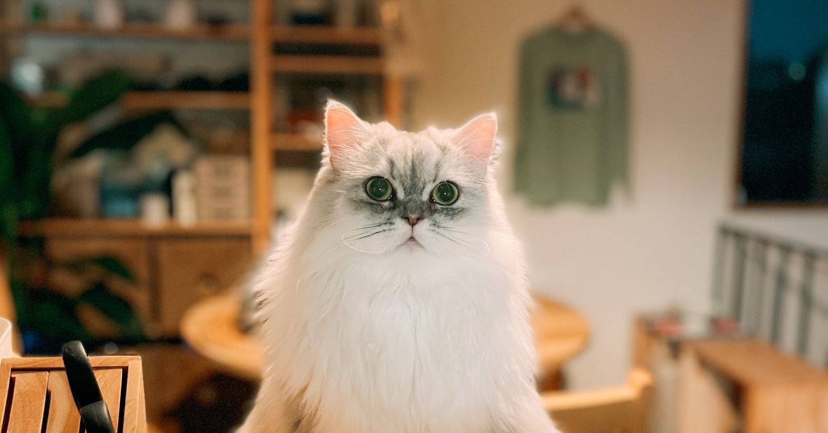 会社売却のリアルをお話しできます