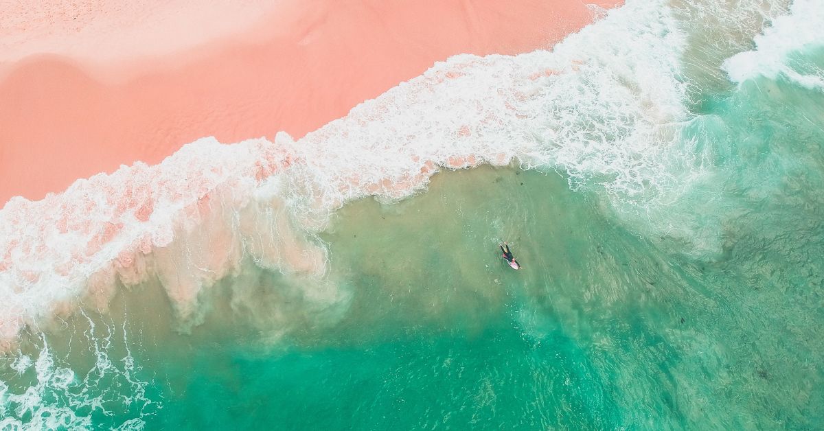 ICF認定コーチング資格保有/現職or転職の選択肢を一緒に考えませんか?