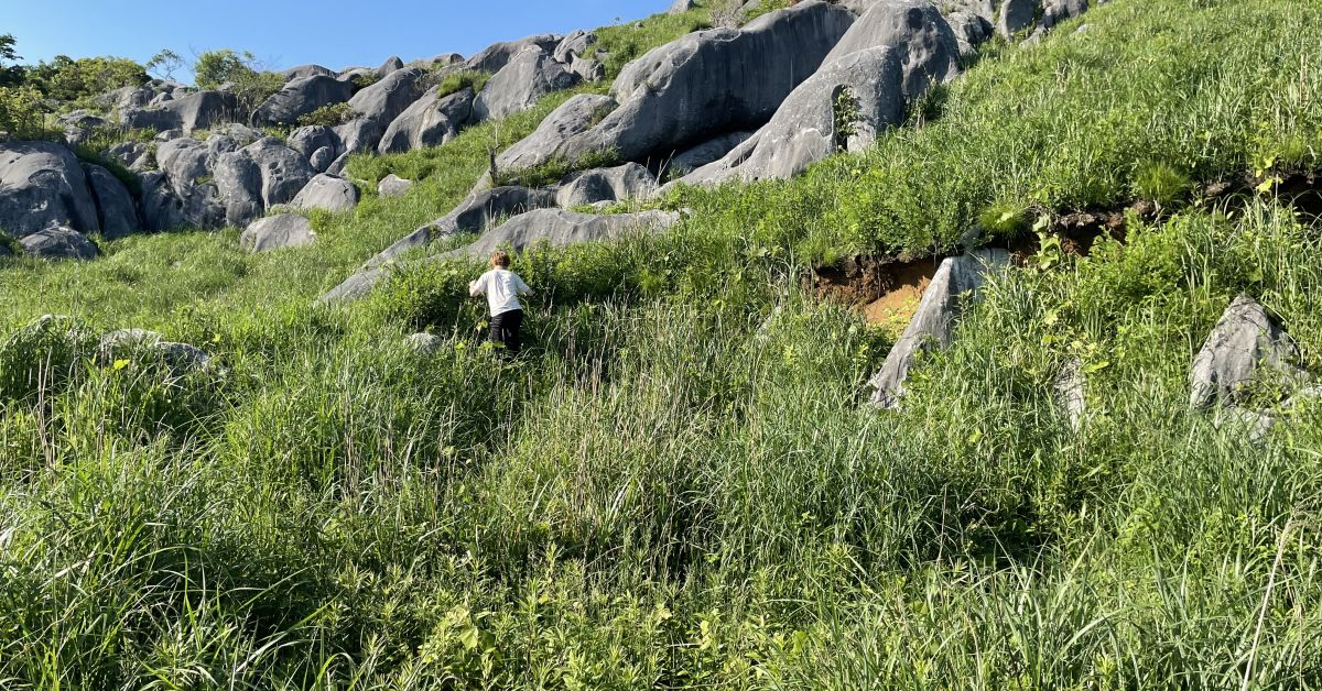 創業初期からの経営管理とファイナンスについて