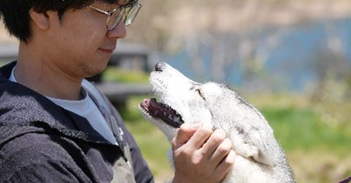 「このままでいいのかな？」と悩むエンジニアへ｜キャリアの整理しませんか？