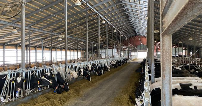 SaaSセールス経験者向けに、酪農DXについてお話します!