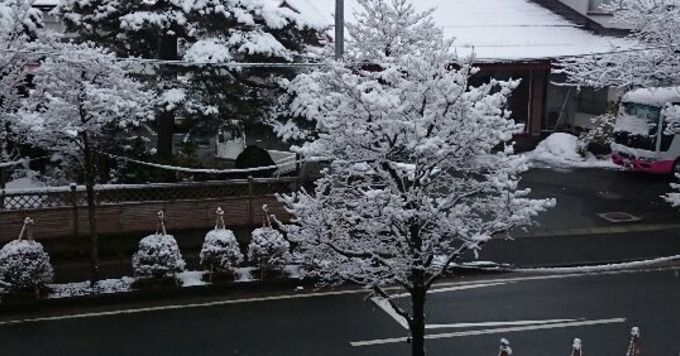 hacomonoのカスタマーサクセスについてお話しします