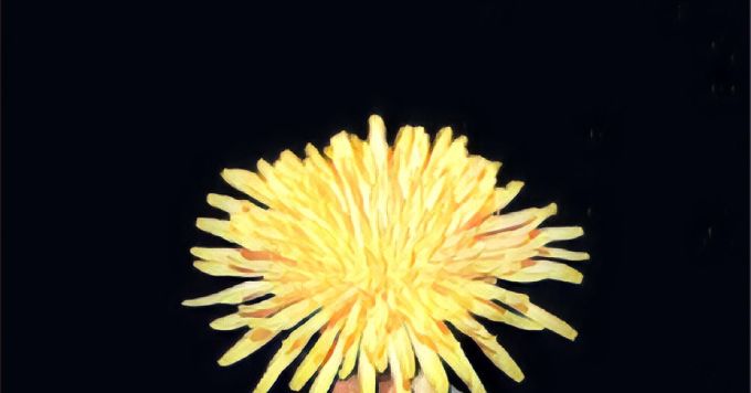 機械学習の最先端の研究を紹介します！