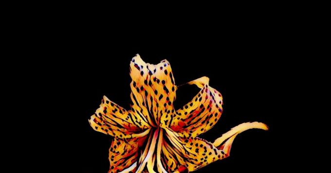 研究のあり方について興味がある方お話しましょう！