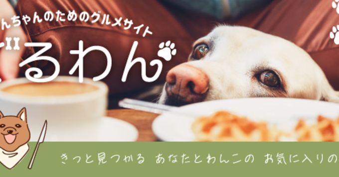 わんちゃん?好きのエンジニアさんと話したいです?