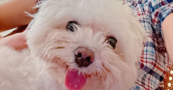 最高のテントサウナはどこにありますか？