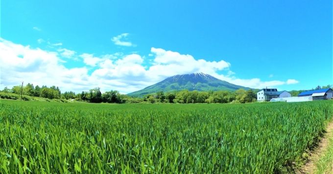 大手企業でのキャリアを経て何故ベンチャーなのか？
