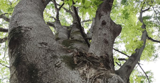 メンタルヘルスについて、産業医療について話をしませんか