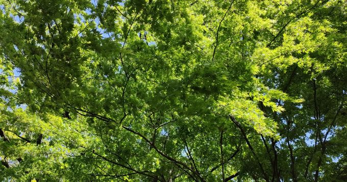 あなたの仕事における悩みはなんですか。