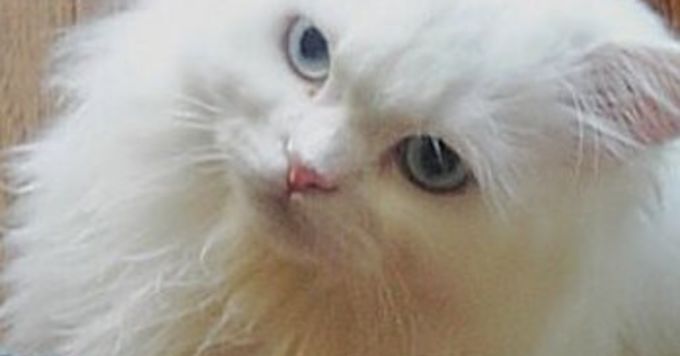 Ubie のセキュリティについてお話します