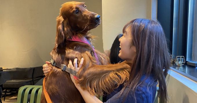 スタートアップ界隈の犬好き集まれ〜！