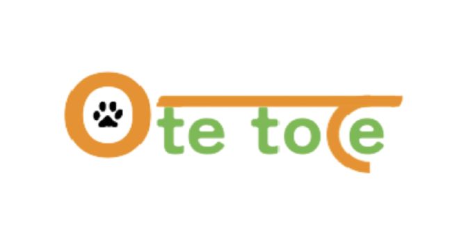 わんこの0から相談❗🐶