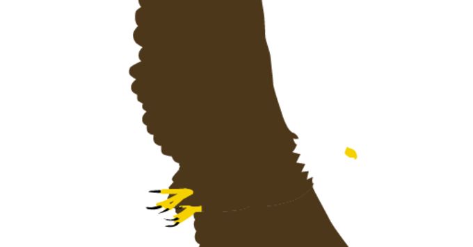 外資出身マネージャーの元で働きたい学生インターン募集！