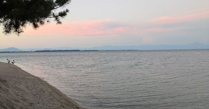 社員一人と業務委託で300名の営業部隊を支えるSFA/CRMの開発現場