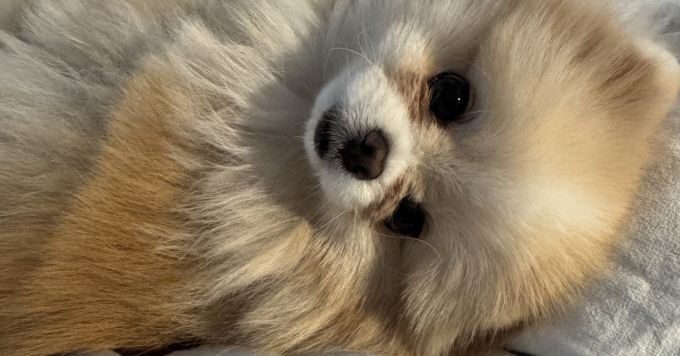 【20代3社経験】2回の転職で見つけた自分らしくいられる場所