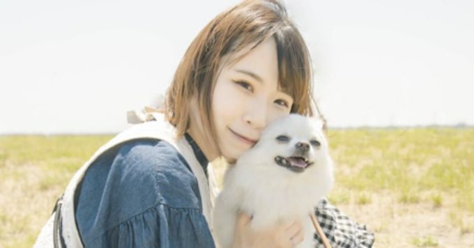 未経験からカスタマーサクセスへキャリアチェンジした話🐈