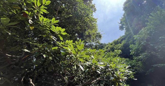 組織やチームの悩みごとを壁打ちしませんか?