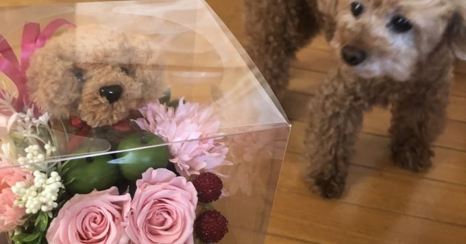 事業・組織づくりに関心がある方、気軽にお話ししませんか？