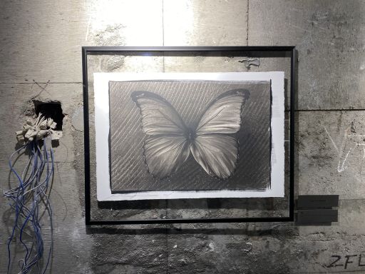 写真 6