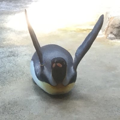 テストチームについて