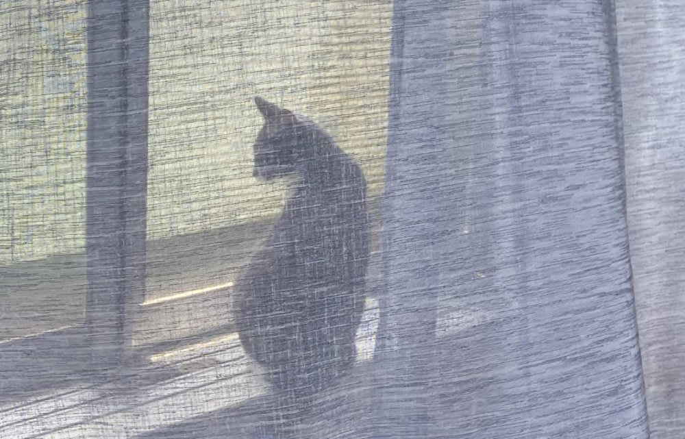 【6月2日更新】店舗改装と一時移転について