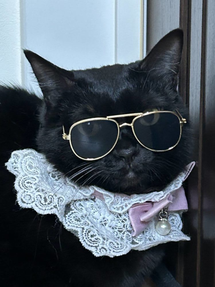 2024年もありがとうございました