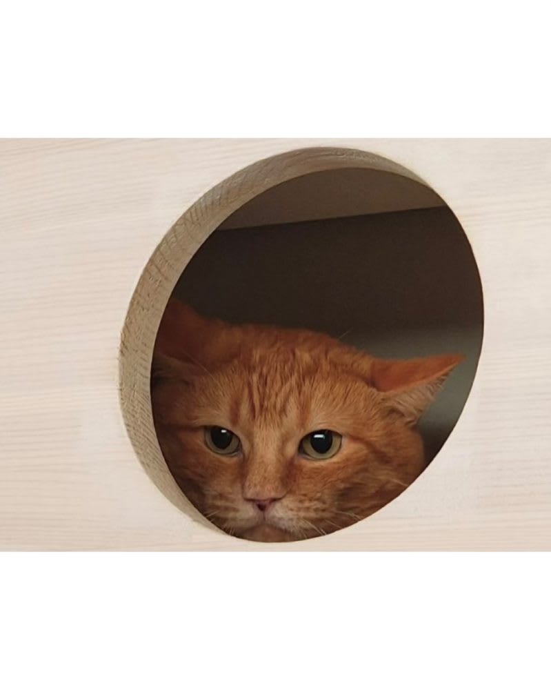 7月もありがとうございました、ちょっぴり近況のご報告