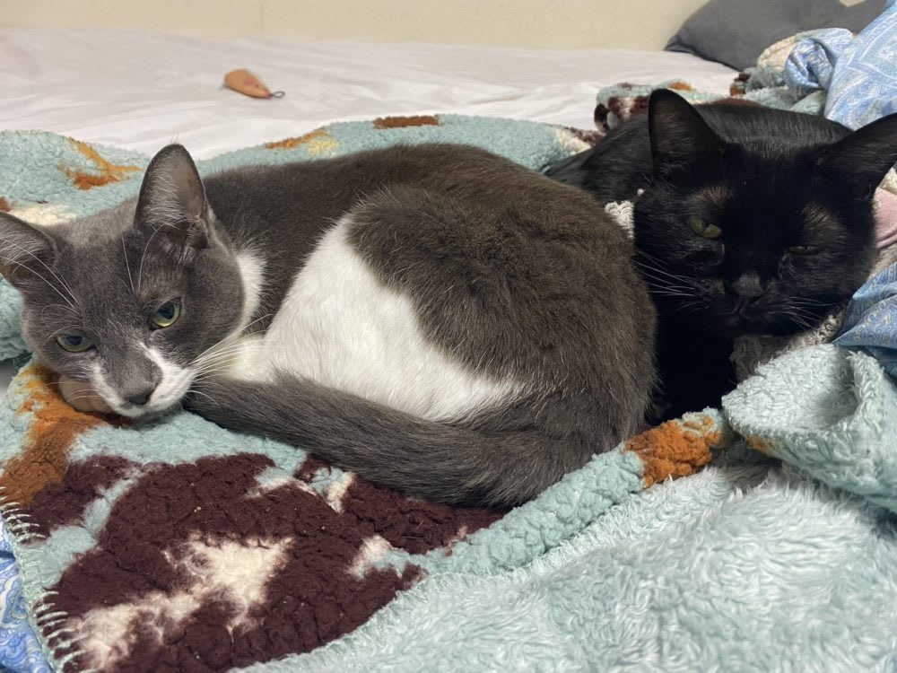 10/17(金) 営業時間変更のおしらせ