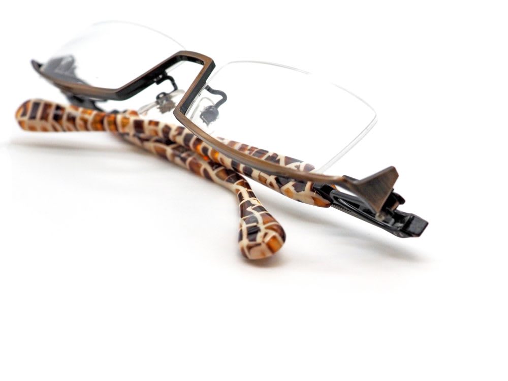 less than human, BRAZIL 眼鏡工房久保田