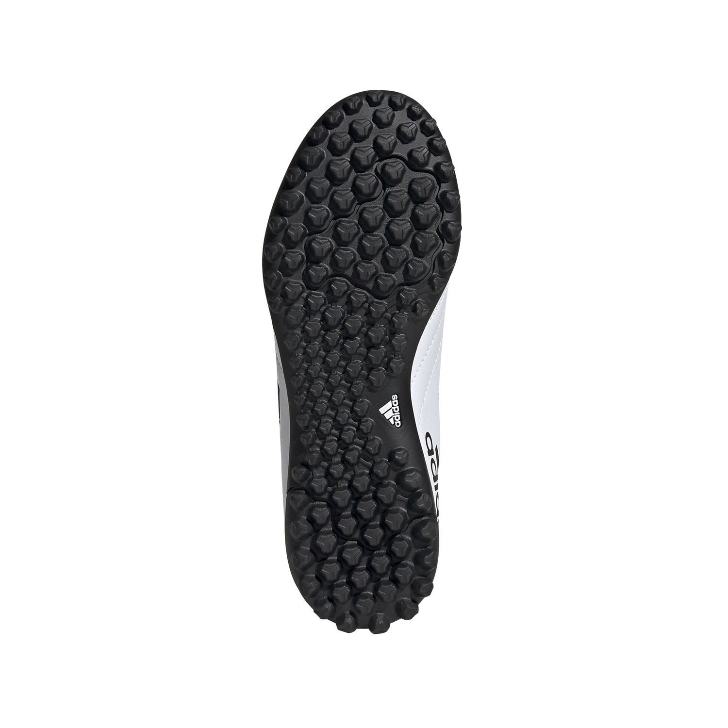 GOLETTO VII TF J FV48836 BLANCO