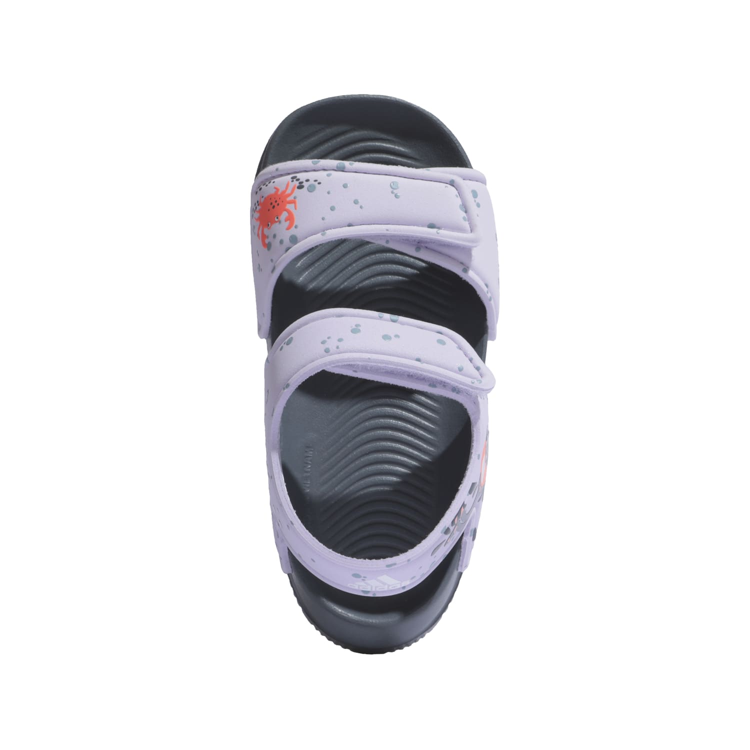 ALTASWIM I EG2181 LILA ÑA