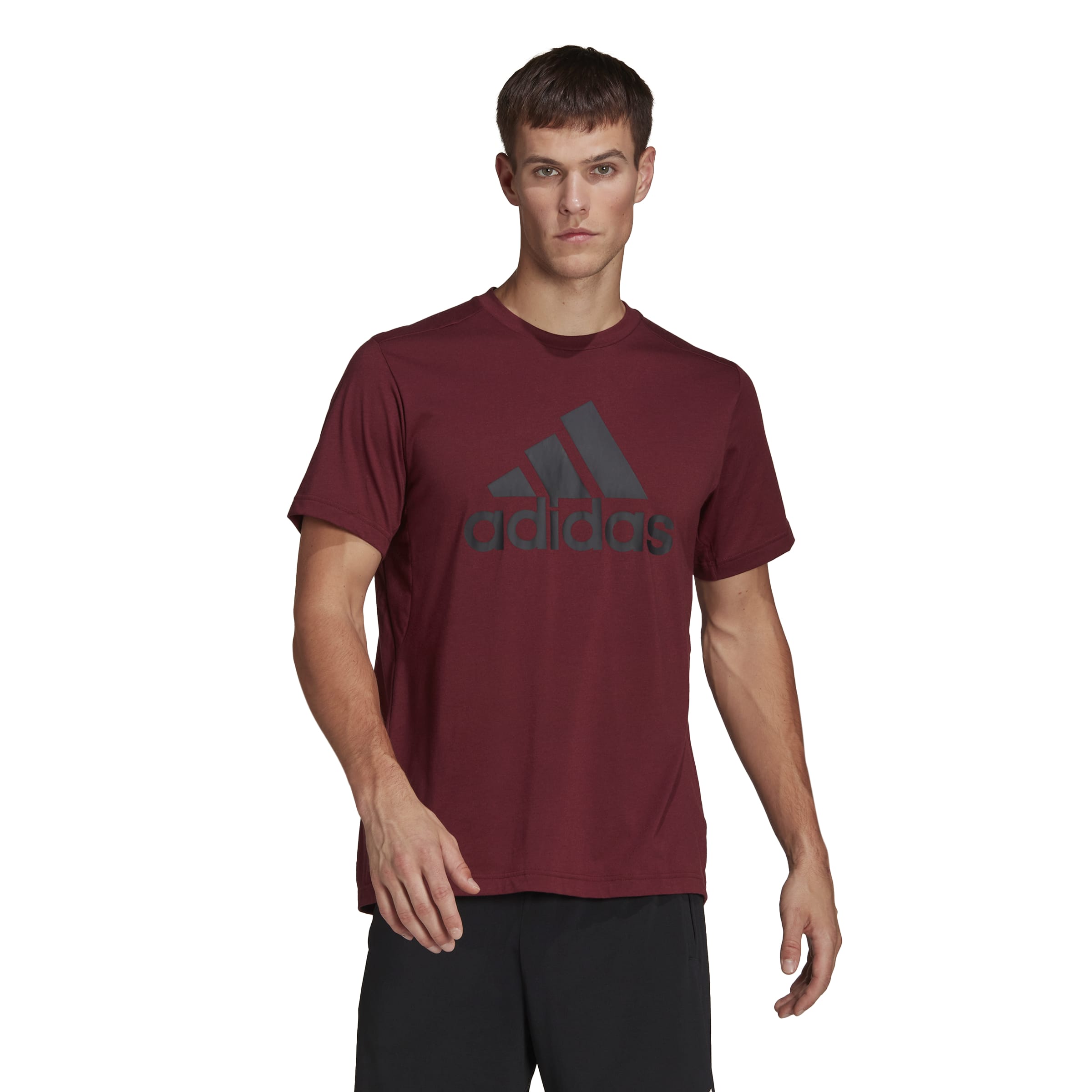 POLO 54423 VINO H