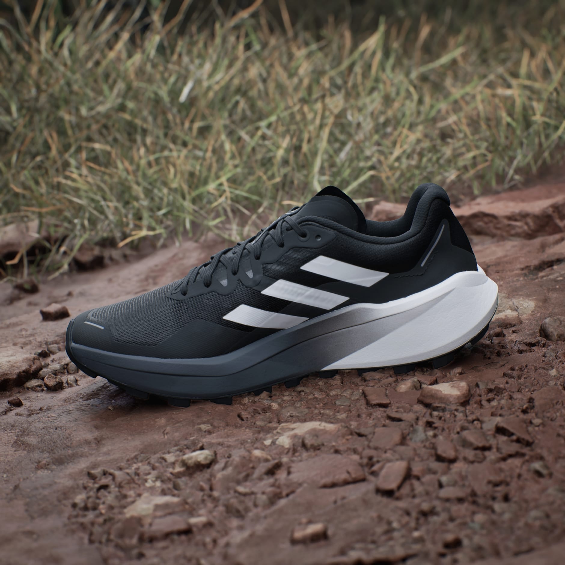 Zapatillas Adidas Terrex Agravic 3 62232, Hombre