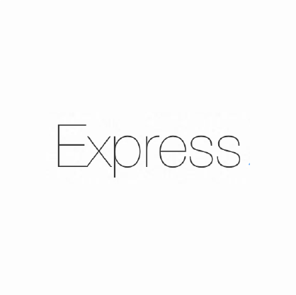 Express Icon