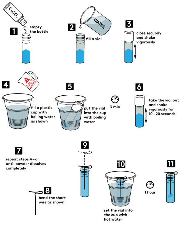 cupric sulfate experiments