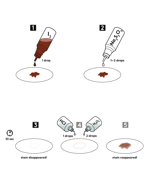 Graphical step-by-step instruction