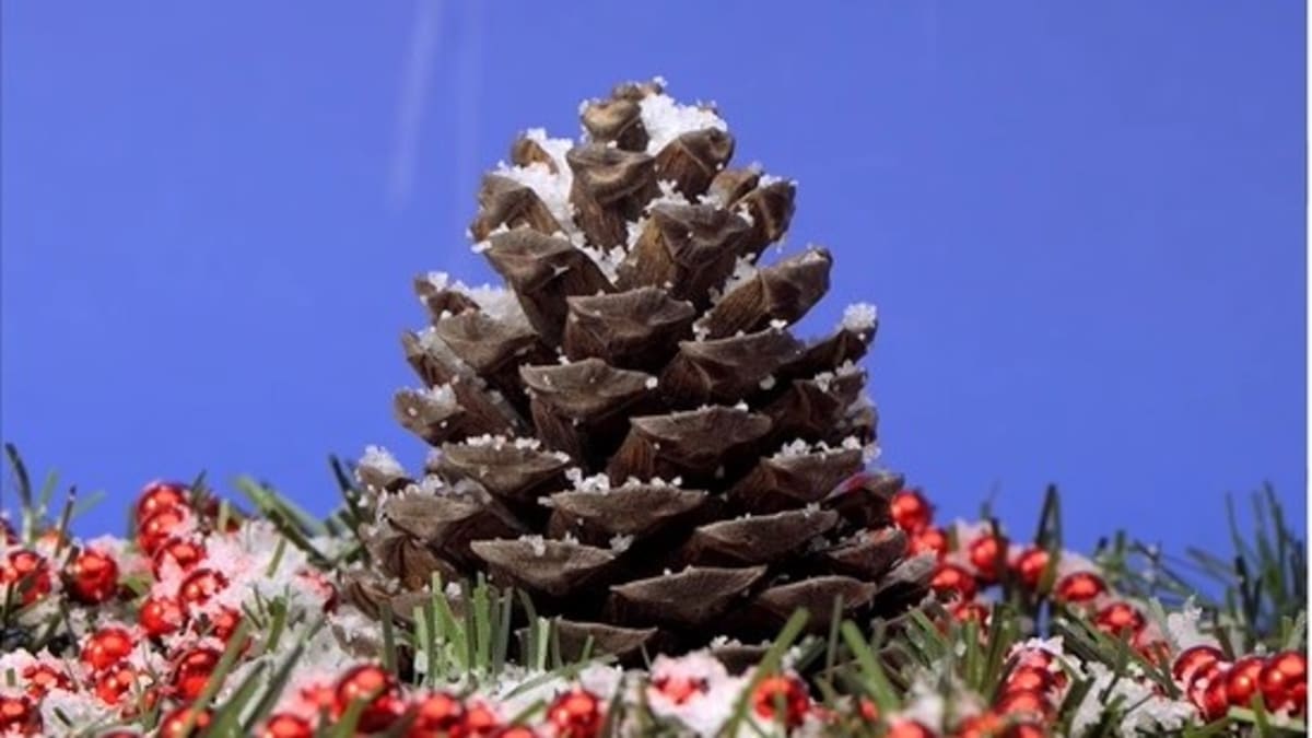 Sodium polyacrylate a super strong desiccant MEL Chemistry